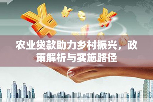 南安农业贷款助力乡村振兴，政策解析与实施路径