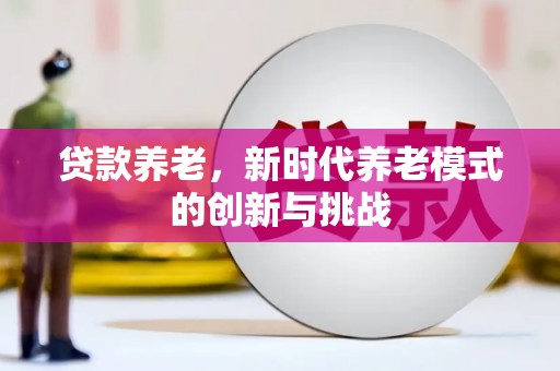 南安贷款养老，新时代养老模式的创新与挑战
