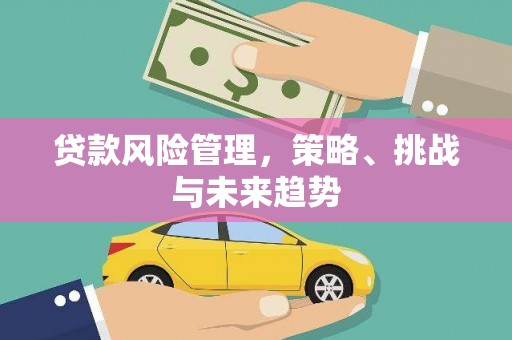 南安贷款风险管理，策略、挑战与未来趋势