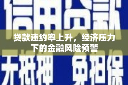 南安贷款违约率上升，经济压力下的金融风险预警