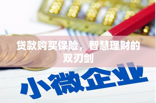 南安贷款购买保险，智慧理财的双刃剑