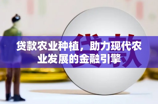 南安贷款农业种植，助力现代农业发展的金融引擎