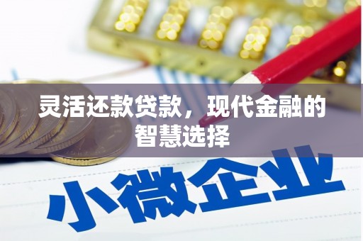 南安灵活还款贷款，现代金融的智慧选择