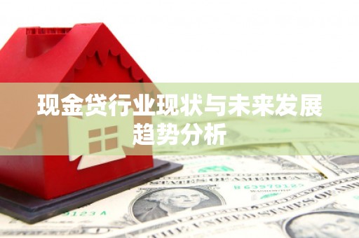南安现金贷行业现状与未来发展趋势分析