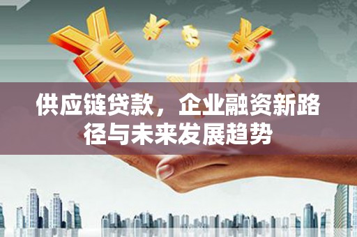 南安供应链贷款，企业融资新路径与未来发展趋势
