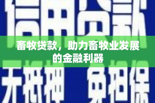 南安畜牧贷款，助力畜牧业发展的金融利器