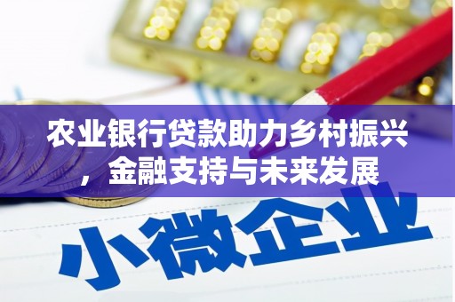 南安农业银行贷款助力乡村振兴，金融支持与未来发展
