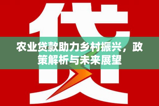 南安农业贷款助力乡村振兴，政策解析与未来展望
