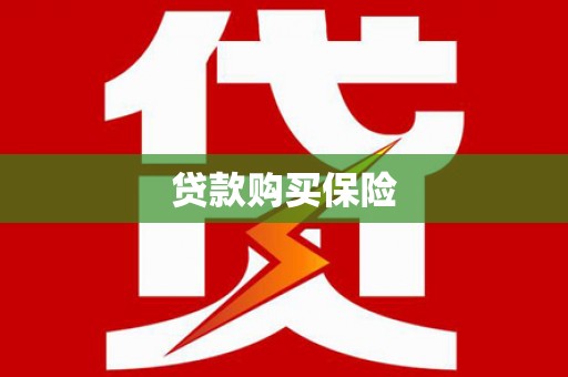 南安贷款购买保险