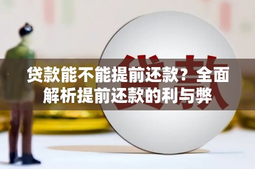 南安贷款能不能提前还款？全面解析提前还款的利与弊