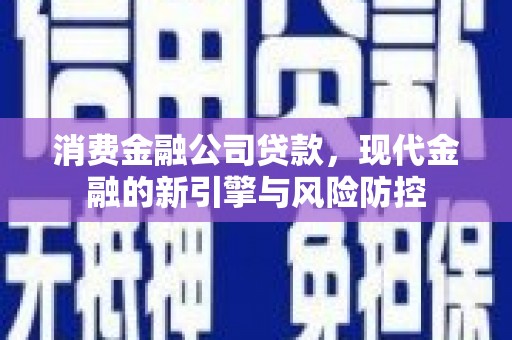 南安消费金融公司贷款，现代金融的新引擎与风险防控