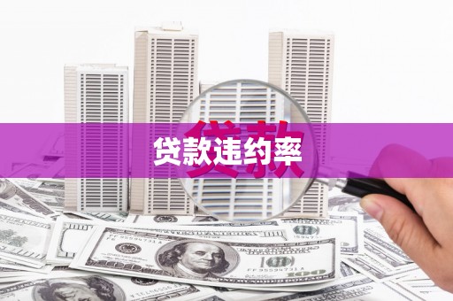南安贷款违约率