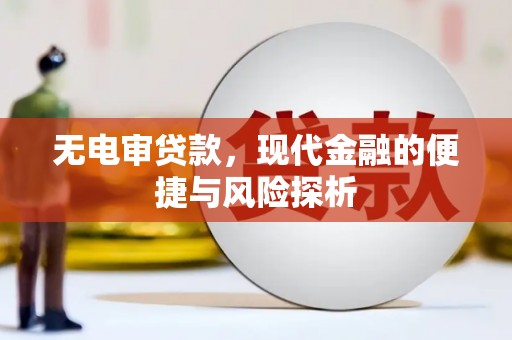 南安无电审贷款，现代金融的便捷与风险探析