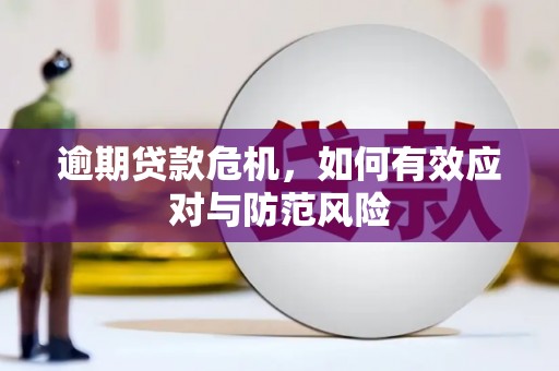 南安逾期贷款危机，如何有效应对与防范风险