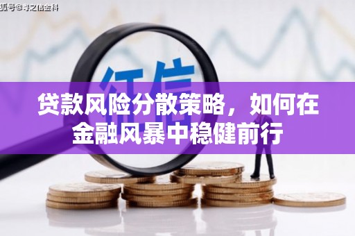 南安贷款风险分散策略，如何在金融风暴中稳健前行