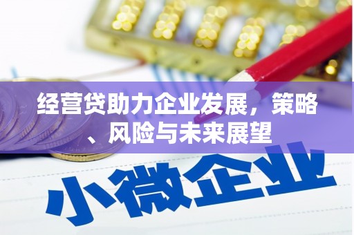 南安经营贷助力企业发展，策略、风险与未来展望