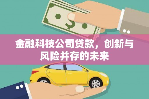 南安金融科技公司贷款，创新与风险并存的未来