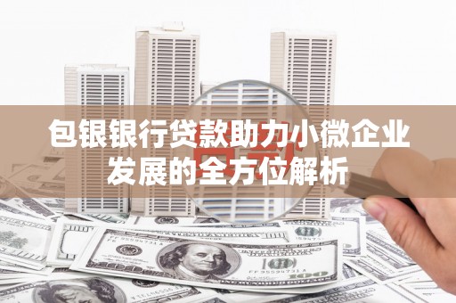 南安包银银行贷款助力小微企业发展的全方位解析 南安包银银行贷款助力小微企业发展的全方位解析