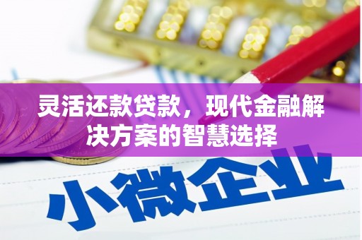南安灵活还款贷款，现代金融解决方案的智慧选择