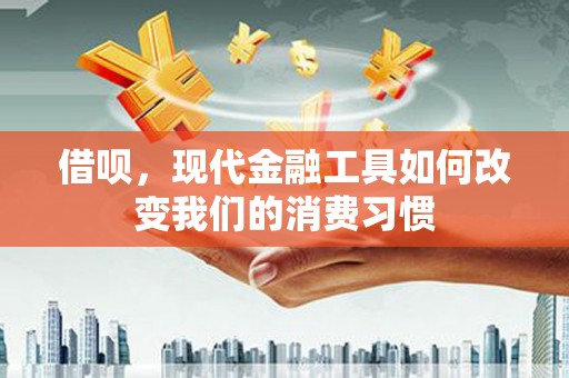 南安借呗，现代金融工具如何改变我们的消费习惯