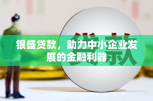 南安银盛贷款，助力中小企业发展的金融利器