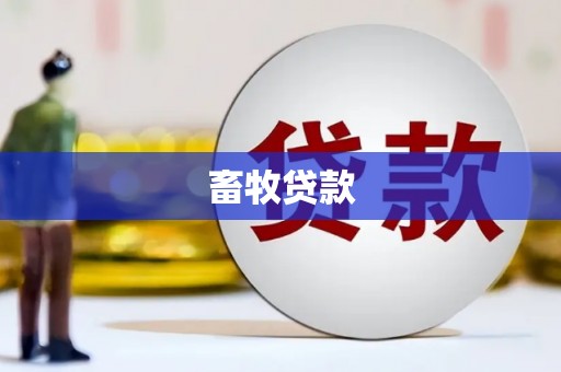 南安畜牧贷款