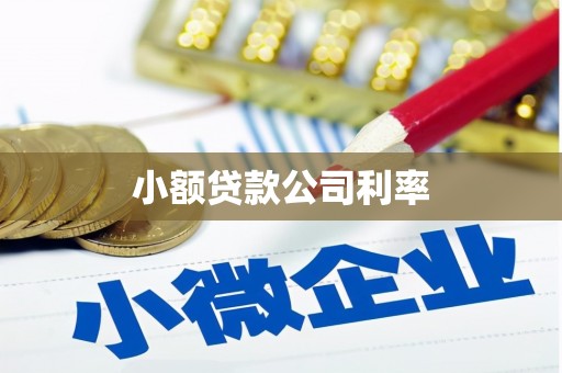 南安小额贷款公司利率