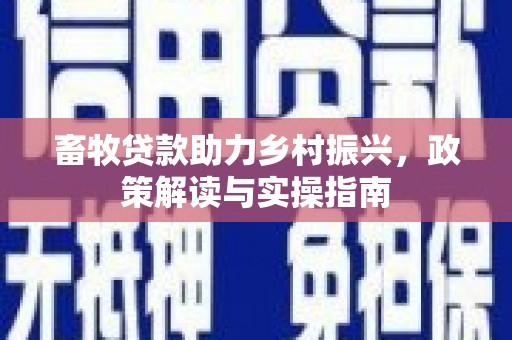 南安畜牧贷款助力乡村振兴，政策解读与实操指南