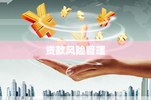 南安贷款风险管理
