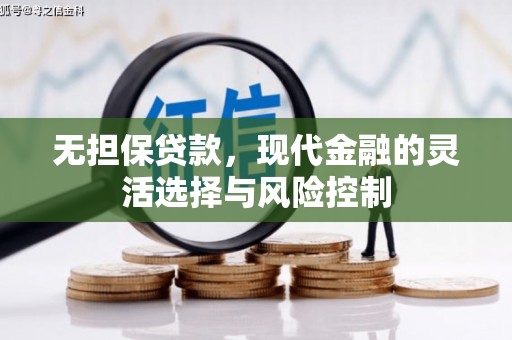 南安无担保贷款，现代金融的灵活选择与风险控制