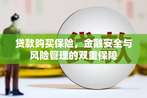 南安贷款购买保险，金融安全与风险管理的双重保障