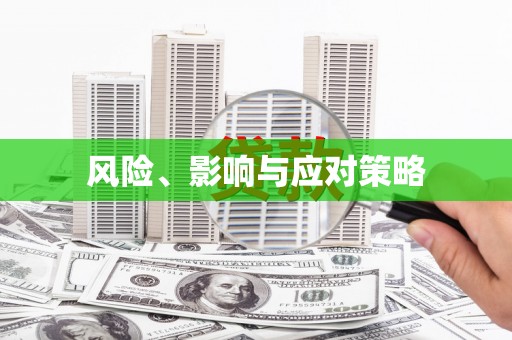 南安风险、影响与应对策略