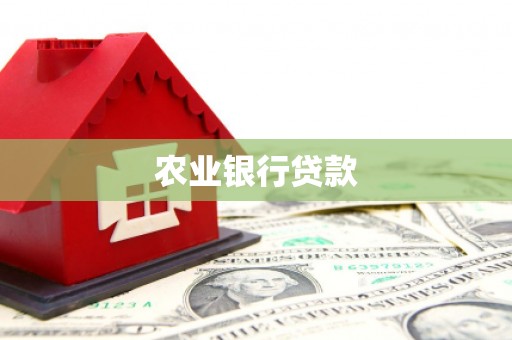 南安农业银行贷款