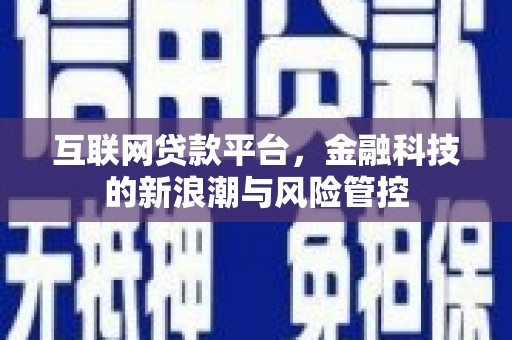 南安互联网贷款平台，金融科技的新浪潮与风险管控
