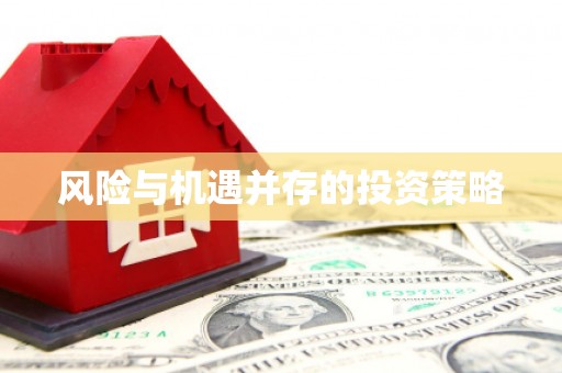南安风险与机遇并存的投资策略