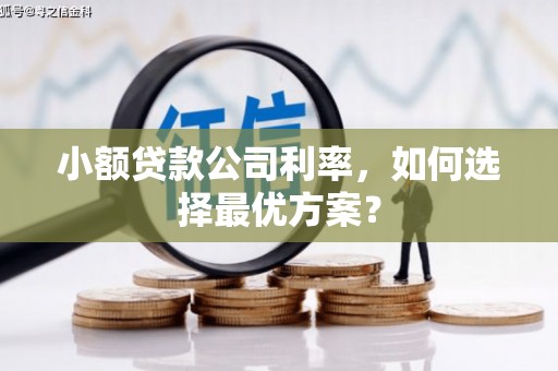 南安小额贷款公司利率，如何选择最优方案？
