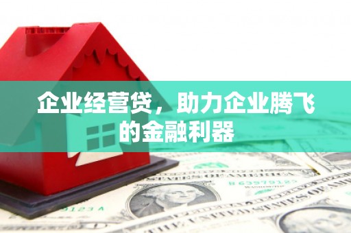 南安企业经营贷，助力企业腾飞的金融利器