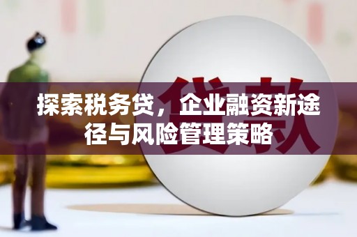 南安探索税务贷，企业融资新途径与风险管理策略