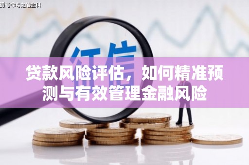 南安贷款风险评估，如何精准预测与有效管理金融风险