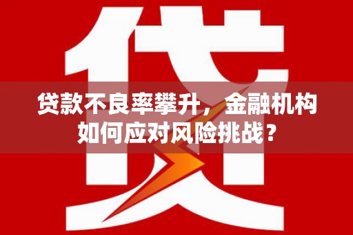 南安贷款不良率攀升，金融机构如何应对风险挑战？