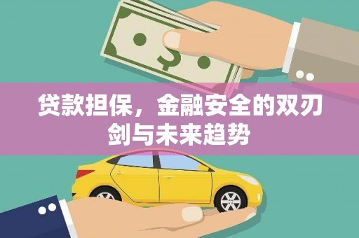 南安贷款担保，金融安全的双刃剑与未来趋势