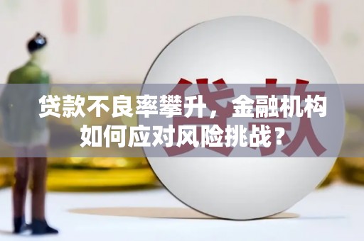 南安贷款不良率攀升，金融机构如何应对风险挑战？