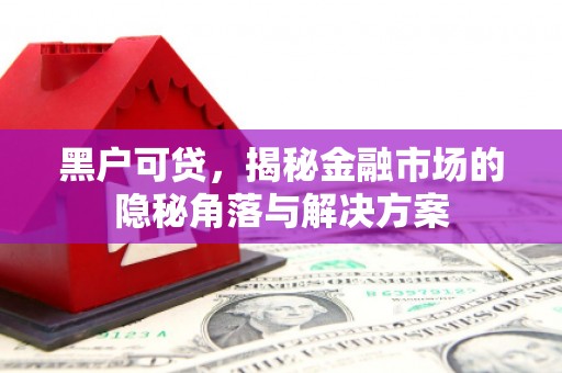 南安黑户可贷，揭秘金融市场的隐秘角落与解决方案