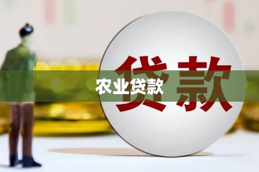 南安农业贷款