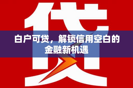 南安白户可贷，解锁信用空白的金融新机遇