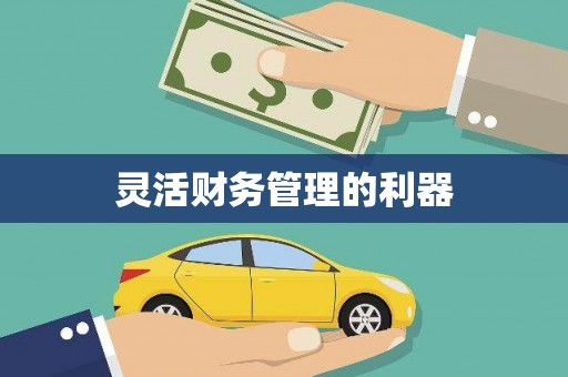 南安灵活财务管理的利器