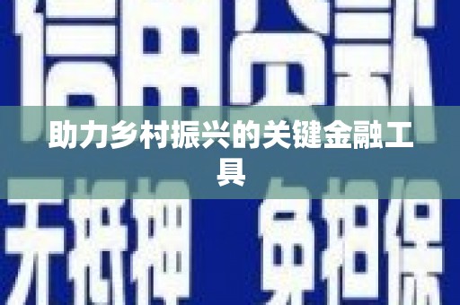 南安助力乡村振兴的关键金融工具