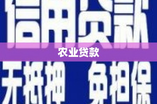 南安农业贷款