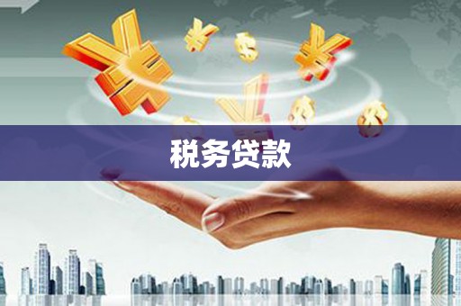 南安税务贷款