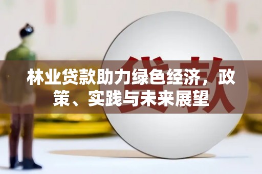 南安林业贷款助力绿色经济，政策、实践与未来展望